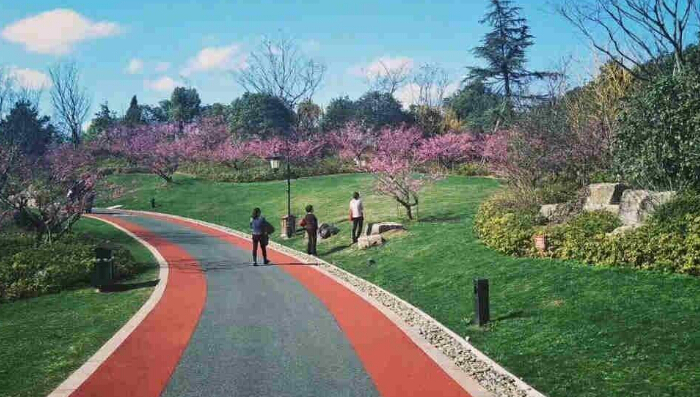 1578476259291358.jpg QQ截圖20190709143643.jpg